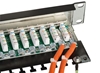 Picture of Lindy 25990 patch panel 1U