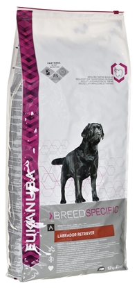 Изображение EUKANUBA Labrador Retriever Adult - dry dog food - 12 kg