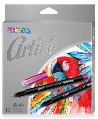 Picture of Colorino Artist Fineliners 12 colours