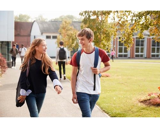 Picture of Suchawki JVC HAA-8TWU