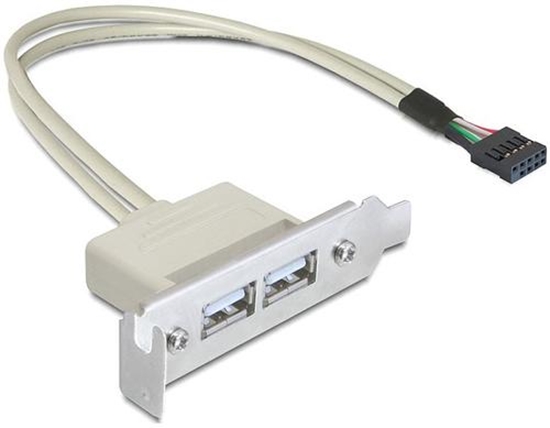Изображение Delock Slot bracket USB 2.0 low profile 2 port