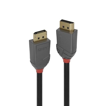 Изображение Lindy 10m DisplayPort 1.2 Cable, Anthra Line