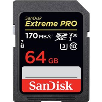 Picture of MEMORY SDXC 64GB UHS-I/SDSDXXU-064G-GN4IN SANDISK