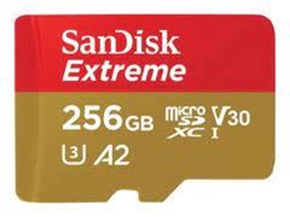 Picture of MEMORY SDXC 128GB UHS-1/SDSDXWA-128G-GNCIN SANDISK