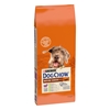 Picture of PURINA Dog Chow Mature Senior with lamb - dry dog food - 14 kg