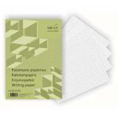 Изображение Rūtiņu papīrs A4,  100 loksnes SMLT