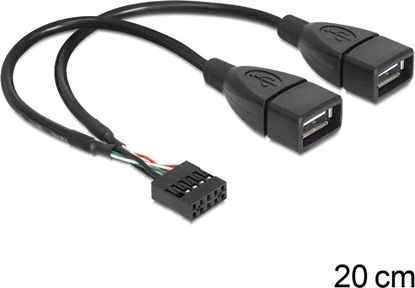 Изображение Delock USB Cable Pin header female > 2 x USB 2.0 type-A female 20 cm