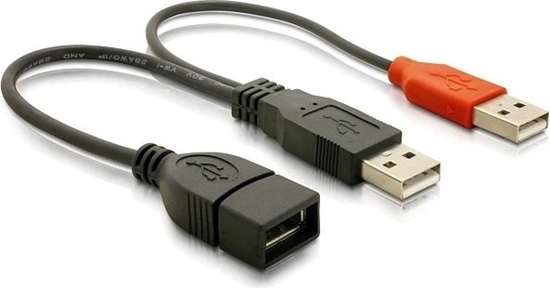Picture of Delock Y cable 2 x USB 2.0 Type-A male > 1 x USB 2.0 Type-A female 20 cm