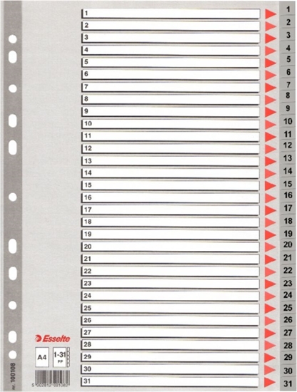 Picture of Divider Esselte PP, A4, numbers 1-31, plastic