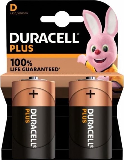 Picture of Duracell Plus MN1300 D, Alkaline, 2 pc(s)