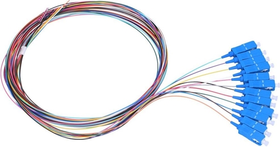 Picture of ExtraLink Pigtaile zestaw 12-kolorów SC/UPC (EX.10123)