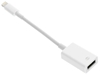 Picture of RoGer OTG Adapter Lightning to USB Connection