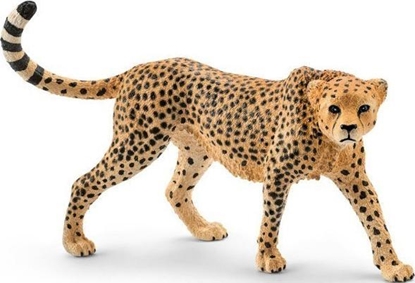 Изображение Schleich Wild Life Cheetah