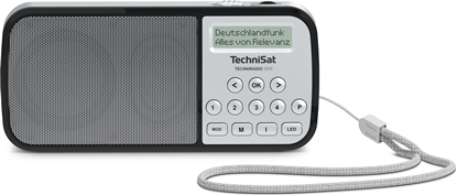 Picture of Technisat TechniRadio RDR silver