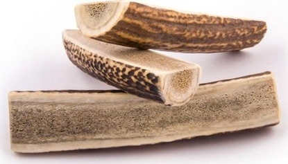 Attēls no 4DOGS 4DOGS GRYZAK XXL (EASY)