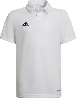 Attēls no Adidas Koszulka adidas ENTRADA 22 Polo Y HC5059 HC5059 biay 164 cm