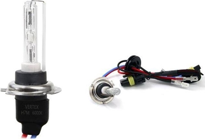 Attēls no AMiO arówka ksenonowa, arnik xenon H7M 6000K metal