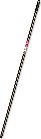 Picture of Anna Zaradna Drek