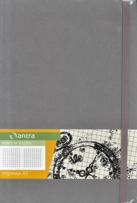 Picture of Antra Notes A5 Kratka Impresja (244303)