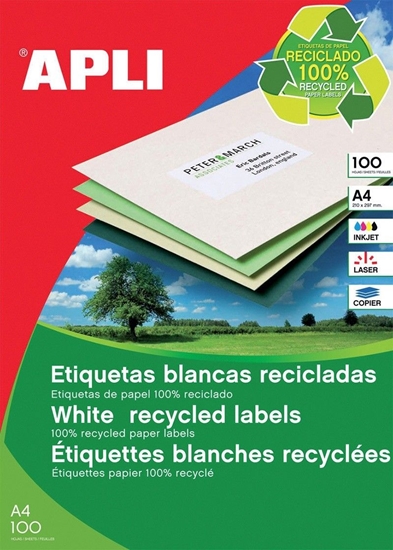 Изображение Apli Etykiety ekologiczne APLI, 210x297mm, prostokątne, białe