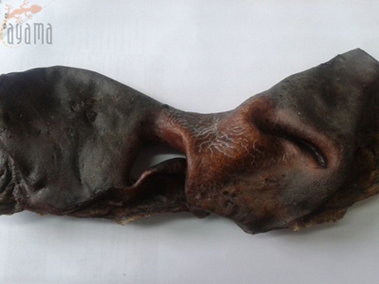 Attēls no Artex NOS WOOWY CIEMNY 100g