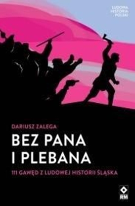 Picture of Bez Pana i Plebana 111 gawęd z ludowej historii..