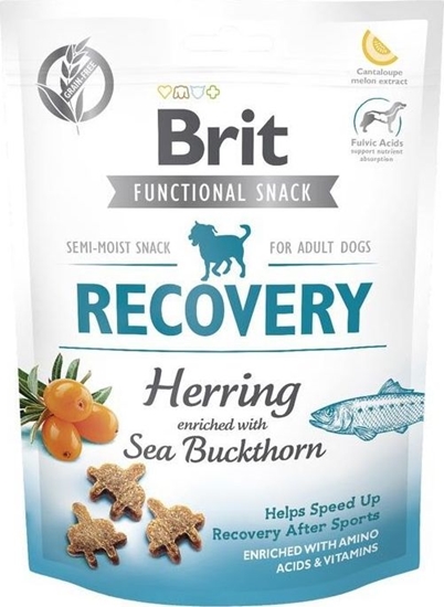 Picture of Brit Brit Care Dog Functional Snack Recovery Harring - przysmak dla psa, 150g