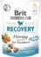 Изображение Brit Brit Care Dog Functional Snack Recovery Harring - przysmak dla psa, 150g