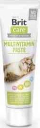 Picture of Brit BRIT CARE Pasta dla kota na Odporno MULTIVITAMIN 100g
