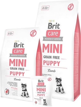 Picture of Brit Care Pies 2kg Mini Puppy Lamb