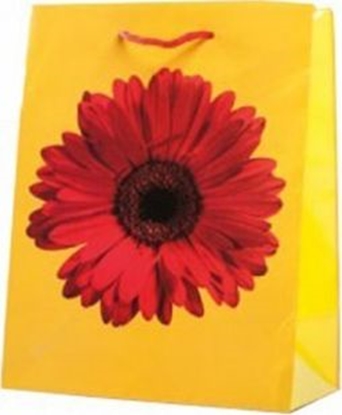 Picture of Canpol Torba TG-20 zwierzta, egzotyka A5 23x17,5cm mix