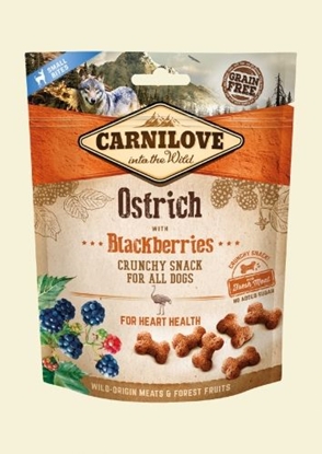 Attēls no Carnilove Przysmak Dog Snack Fresh Crunchy Ostrich+Blackberries 200g