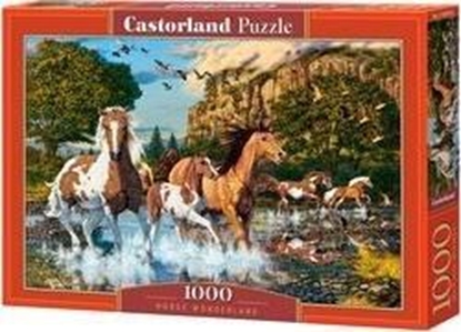 Attēls no Castorland Puzzle 1000 Konie CASTOR