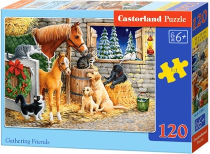 Attēls no Castorland Puzzle Gathering Friends 120 elementów (241110)