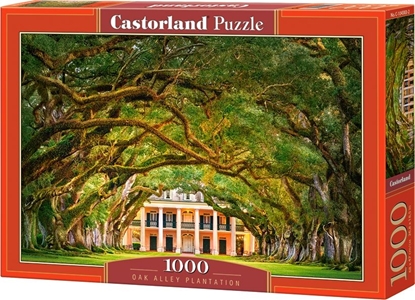 Picture of Castorland Puzzle Oak Alley Plantation 1000 elementów