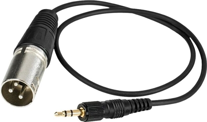 Picture of CKMOVA AC-TLX Kabel z nakrcanym 3,5mm TRS - XLR Mski
