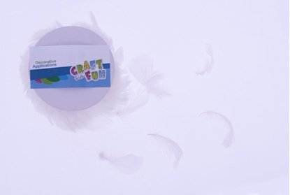 Picture of Craft with Fun CF OZDOBA DEK PIORKA NA ZYLCE 10M BIEL SZP 12/48