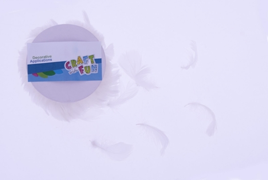 Picture of Craft with Fun CF OZDOBA DEK PIORKA NA ZYLCE 10M BIEL SZP 12/48