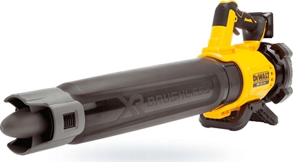 Picture of Dewalt Dmuchawa do lici DCMBL562P1