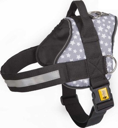 Attēls no Dingo DINGO SZELKI STRONG AMERICA 37/49cm ALASKA