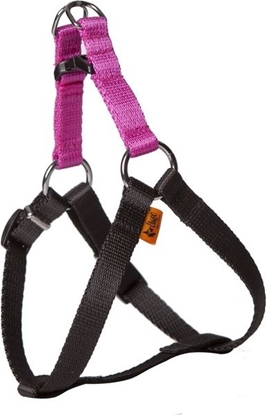 Picture of Dingo Fred Energy rozmiar 60 szer. 1.6 cm Róowe (94613)