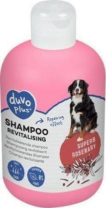 Изображение Duvo+ Duvo+ Szampon Dla Psa Rewitalizujcy 250ml Rozmarynowy