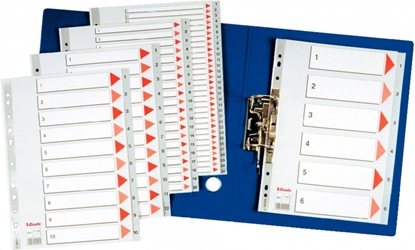 Picture of Esselte 1-6 SZARE PP - 100104