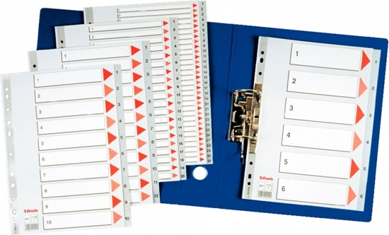 Picture of Esselte 1-6 SZARE PP - 100104