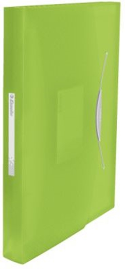 Picture of Esselte TECZKA Z PRZEGRODKAMI VIVIDA ZIELONY ( 624019 )