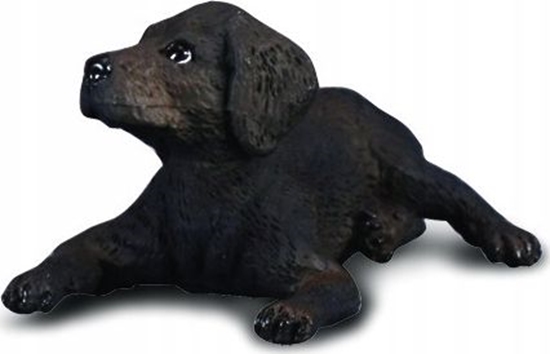 Изображение Figurka Collecta COLLECTA LABRADOR SZCZENIAK