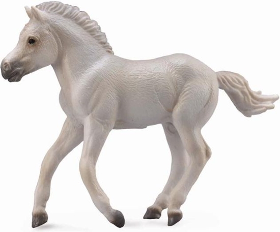 Изображение Figurka Collecta Ko Fjord Foal Grey (004-88633)
