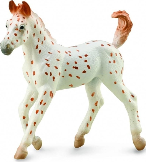 Изображение Figurka Collecta KO KNABSTRUPPER FOAL