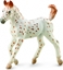 Picture of Figurka Collecta KO KNABSTRUPPER FOAL