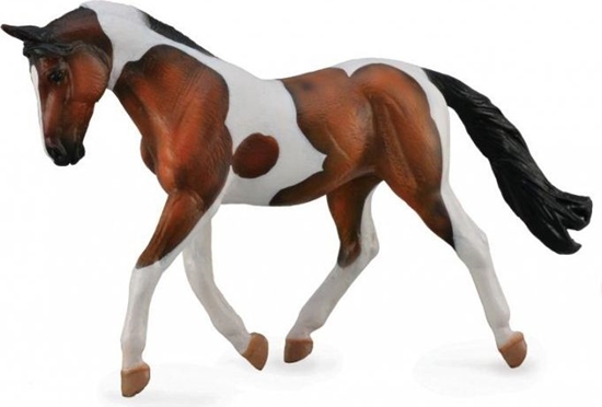 Изображение Figurka Collecta Ko Pinto Mare gniady (004-88691)